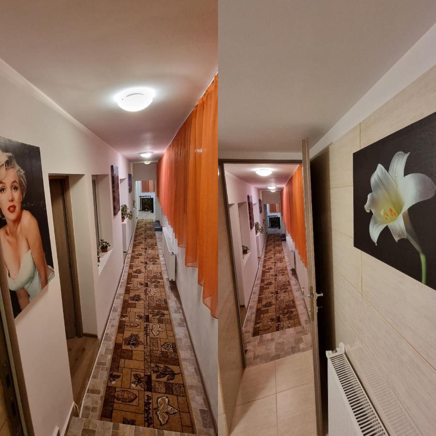 הוילה בראשוב Roca House מראה חיצוני תמונה