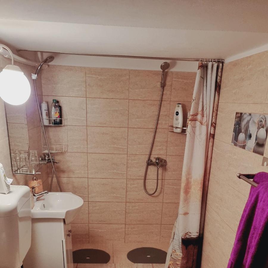 הוילה בראשוב Roca House מראה חיצוני תמונה